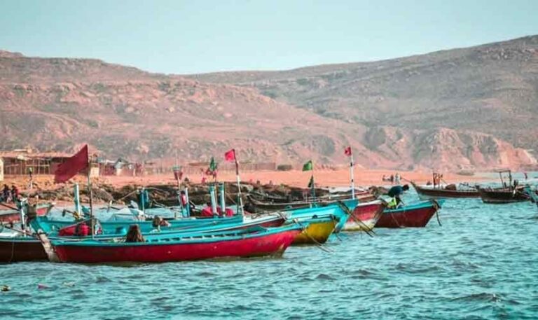 A coastal belt in peril | Political Economy