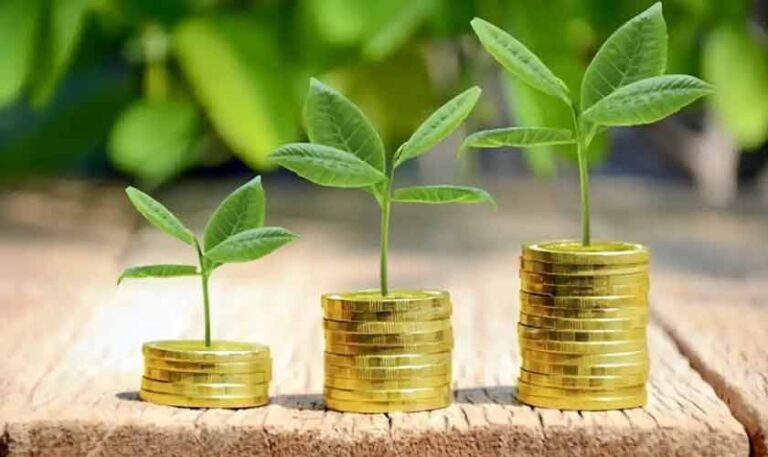 Agriculture and green finance | Political Economy
