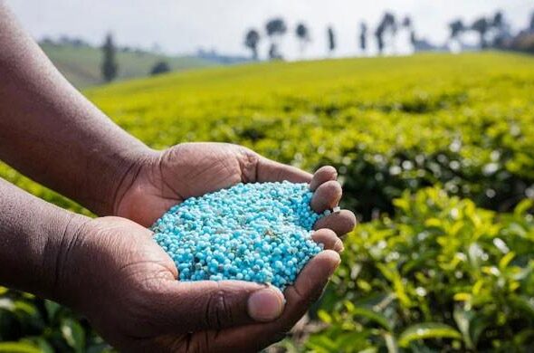 Agrochemical ban threatens crop yields, industry warns