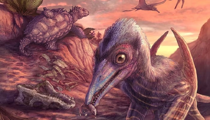Arizona dig reveals flying reptile from dawn of the dinosaurs 1 Arizona dig reveals flying reptile from dawn of the dinosaurs