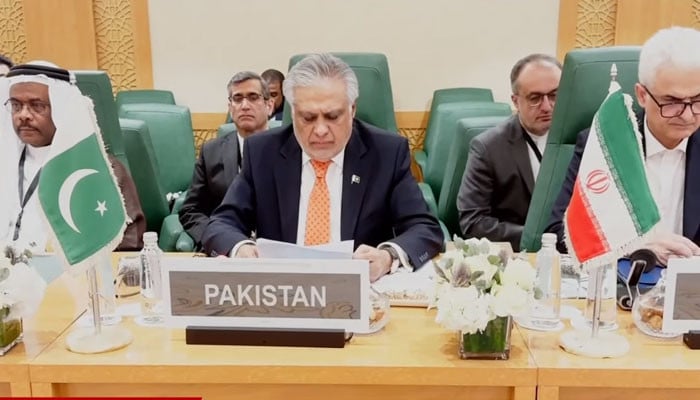 At OIC moot, Pakistan denounces 'Greater Israel' plan