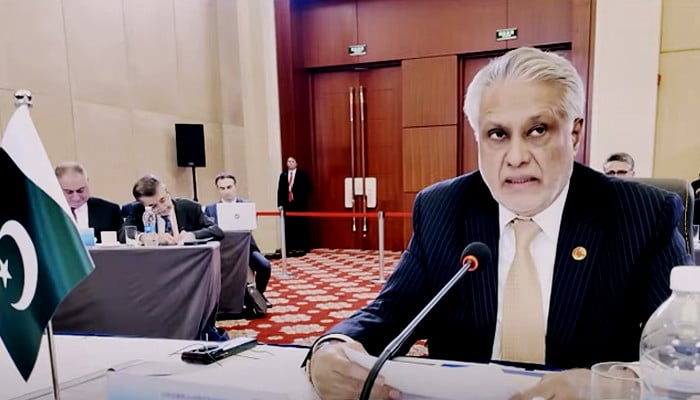 At SCO, Pakistan backs India truce, cautions on use of force