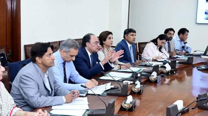 Aurangzeb interacts with UAE banks for Pak fiscal support, development