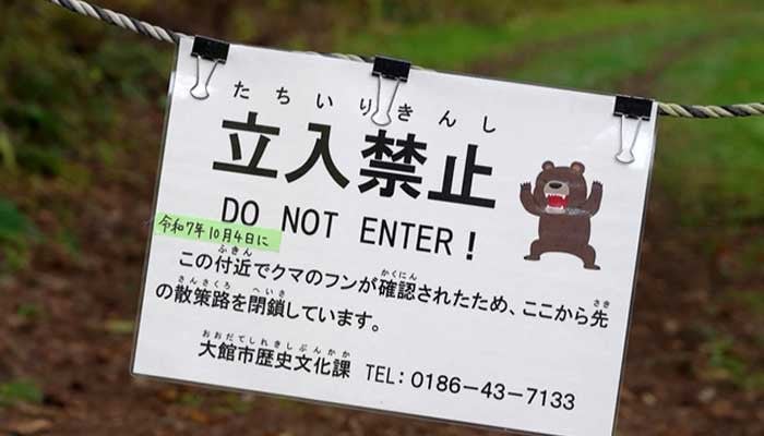 Bear fear grips Japan with record 13 fatalities in attacks since April
