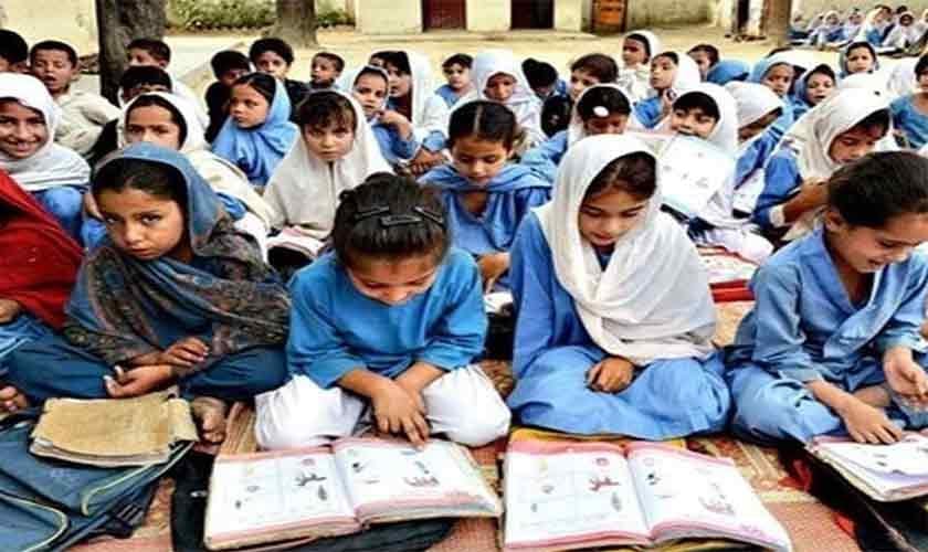 Beyond the blank slate | Political Economy