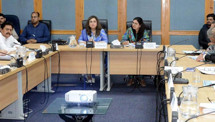 Bureaucratic ego hinders institutional performance, says Senate panel