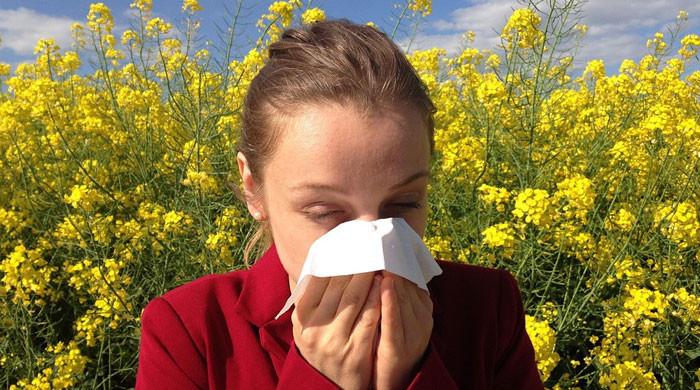 Climate change triggering 'explosion' of allergies: experts 1 Climate change triggering 'explosion' of allergies: experts