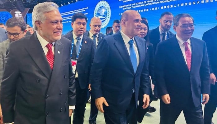 DPM Dar pushes connectivity, financial tools at SCO summit
