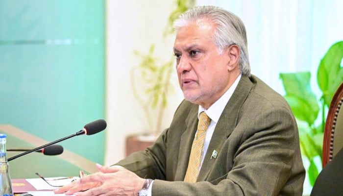 Dar assails Afghan govt over 'serious' border provocation