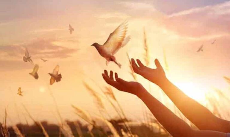 Dreading peace | Political Economy