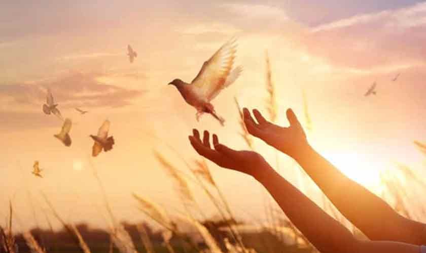 Dreading peace | Political Economy 1 Dreading peace | Political Economy