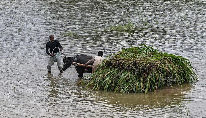Drenched in disaster: Pakistan's monsoon season delivers scenes of calamity