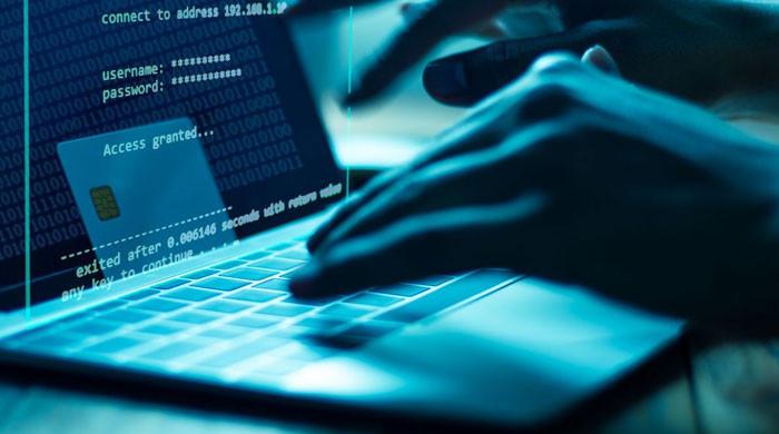 Due diligence key to safe e-trading as scams, risks rise