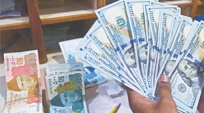 Economic Survey FY25: Experts warn against policy shocks amid 'fragile recovery'