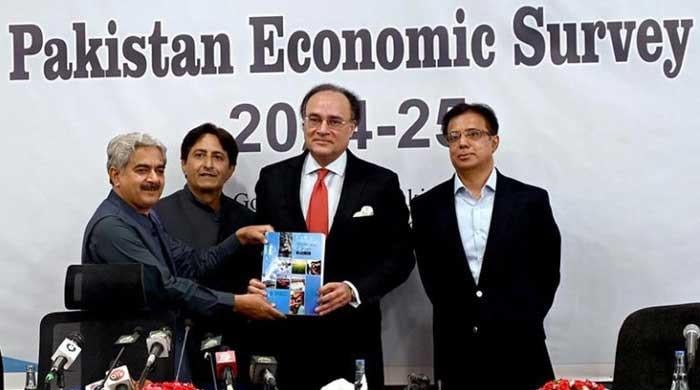 Economic Survey FY25: With 4.6% inflation, govt falls short of growth target