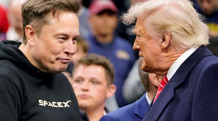 Elon Musk detonates Epstein files bombshell against Trump