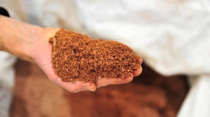 Explainer: What are rare earth minerals?