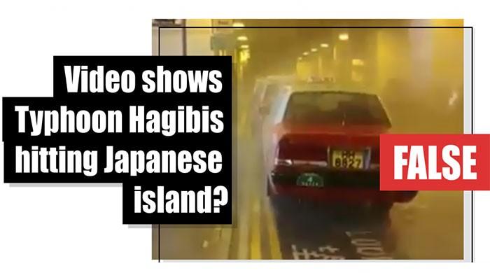 Fact-check: Video shows Typhoon Hagibis hitting Japanese island?