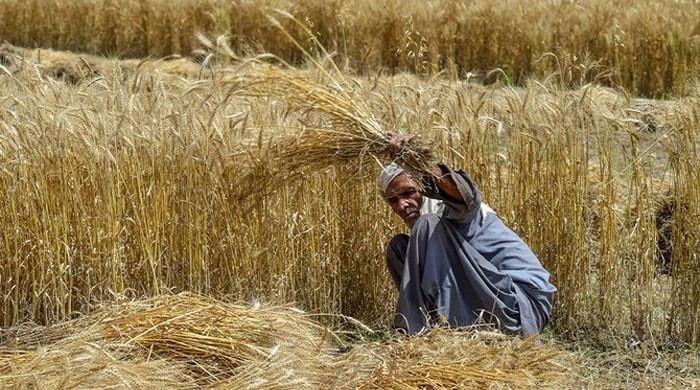 Farmers endure unbearable losses on multiple crop failures, says PKI