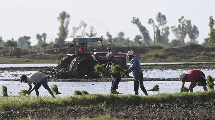 Farmers say budget ignores water development outlay