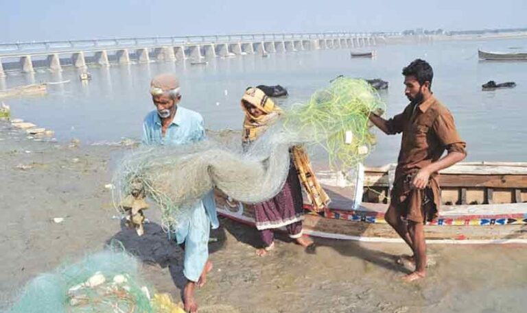 Fishing communities in crisis | Political Economy