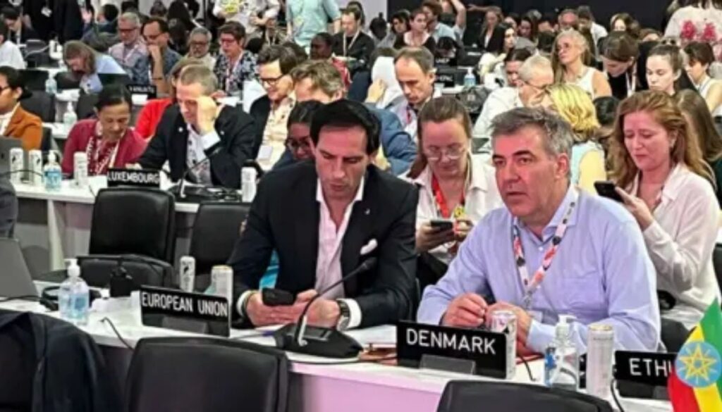 COP30: Five key insights from climate summit