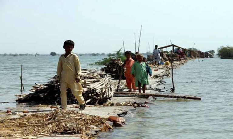 For a climate resilient future | Political Economy