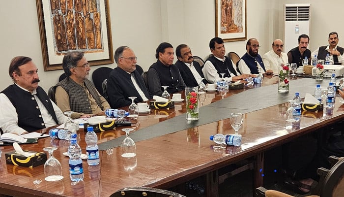 Govt, AJK action committee reach consensus on draft agreement: minister