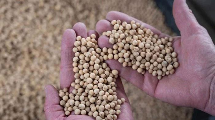 Govt mulls elimination of ‘fraudulent’ seed companies 1 Govt mulls elimination of ‘fraudulent’ seed companies
