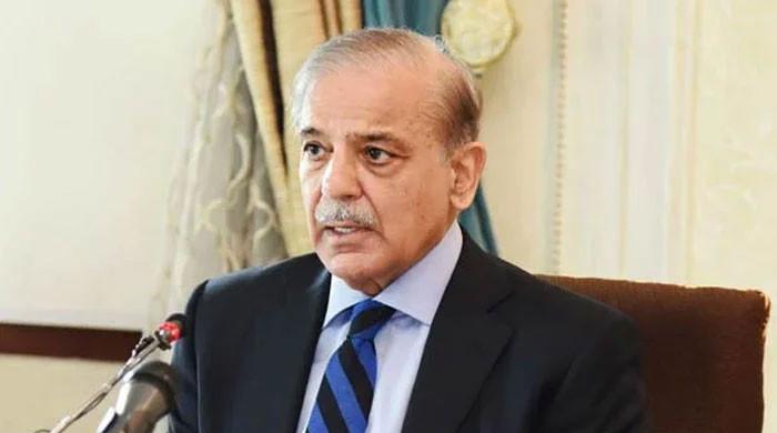 High-level Pakistani delegation to visit US for trade and tariff negotiations