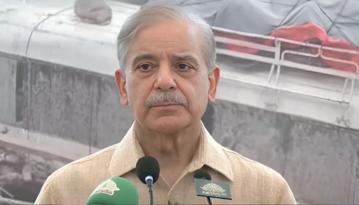 In visit to flood-hit GB, PM announces Rs4bn for rebuilding of infrastructure