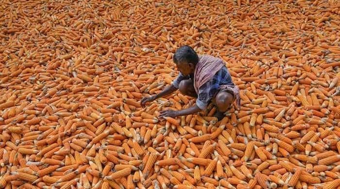 India’s farm insurance proves costly for most vulnerable 1 India’s farm insurance proves costly for most vulnerable
