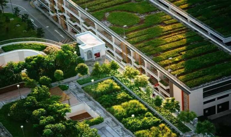 Innovation for resilient rural communities | Political Economy