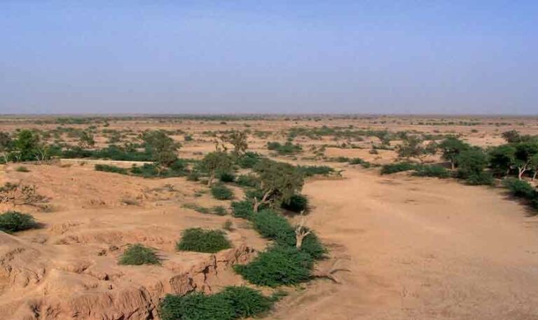 Irrigation canals and the ghost of imperialism | Political Economy