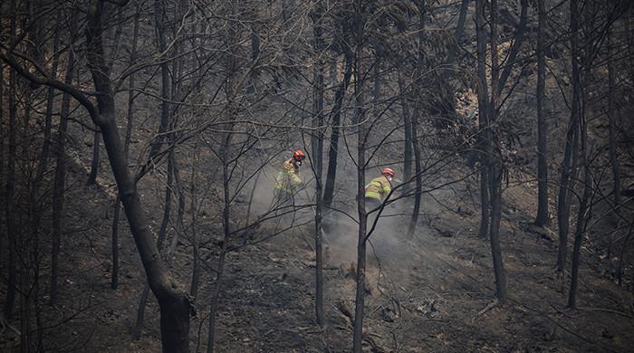 'Largest on record': South Korea wildfires toll hits 28 1 'Largest on record': South Korea wildfires toll hits 28