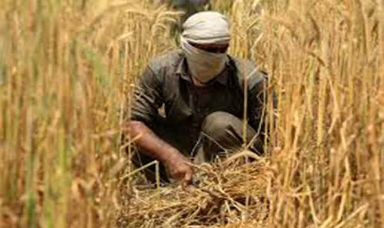 Moving away from manual agriculture | Political Economy