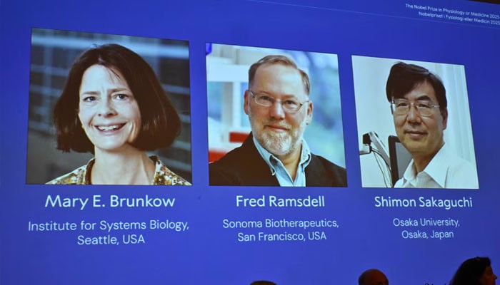 Nobel medicine prize goes to researchers into immune system precision 1 Nobel medicine prize goes to researchers into immune system precision