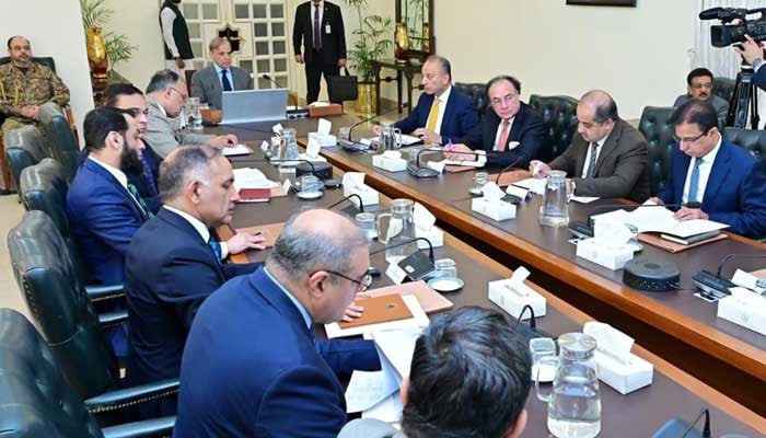 PM Shehbaz approves five-year plan for flood preparedness