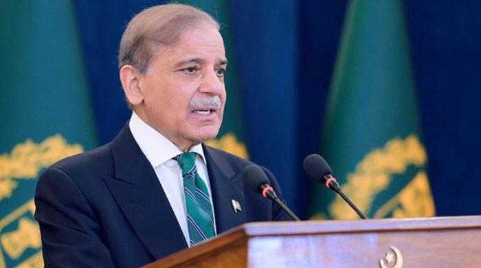 PM Shehbaz commends Pakistan armed forces for 'silencing Indian guns within hours'