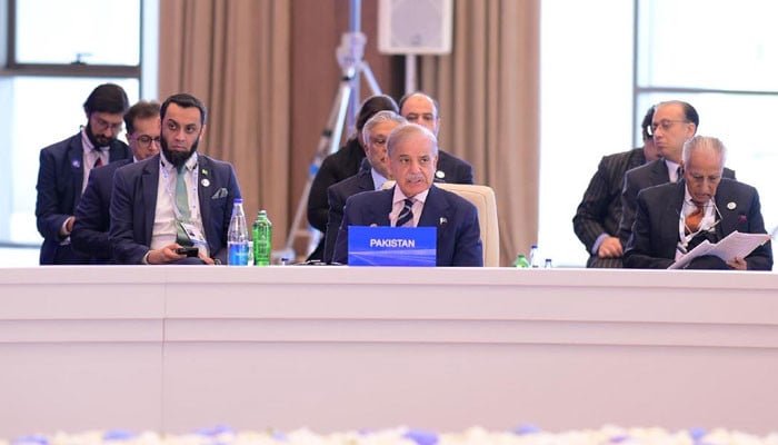PM Shehbaz proposes carbon market, green corridors at ECO Summit