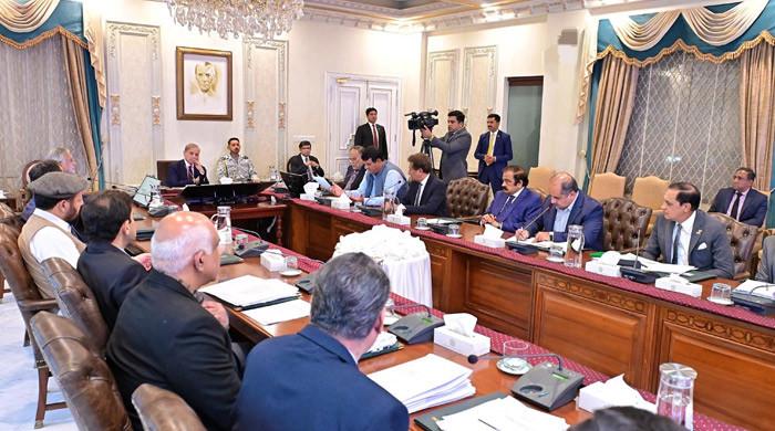 PM Shehbaz pushes for swift completion of Diamer Bhasha Dam 1 PM Shehbaz pushes for swift completion of Diamer Bhasha Dam
