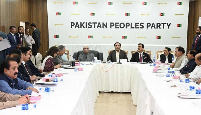 PPP CEC reviews govt's proposed 27th Constitutional Amendment