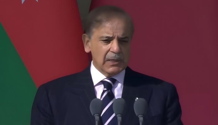 Pakistan committed to peace, firm on defending sovereignty: PM Shehbaz