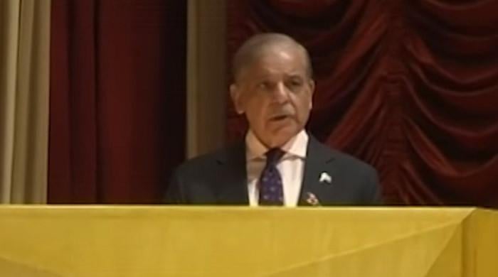 Pakistan responded decisively to India's provocations on battlefield, diplomatic front: PM
