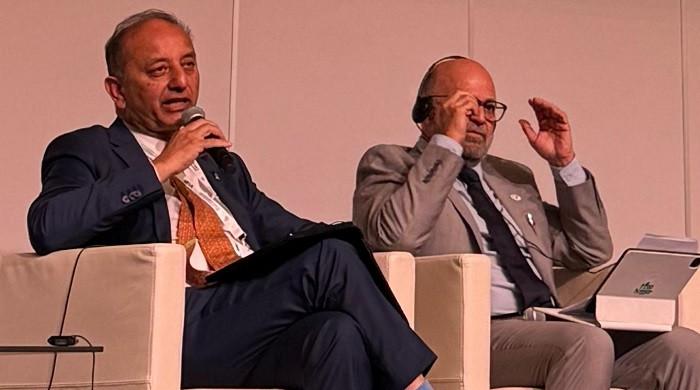 Pakistan seeks global help for green transition at Geneva climate summit 1 Pakistan seeks global help for green transition at Geneva climate summit