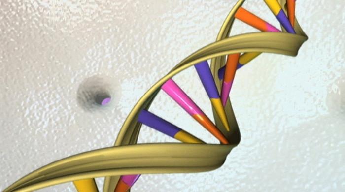 Pakistani girl cured of thalassemia in China