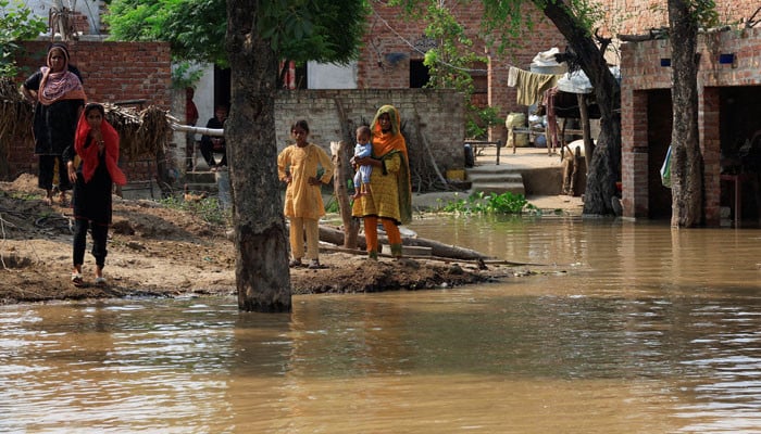 Pakistan's monsoon death toll climbs to 802 amid heavy rains