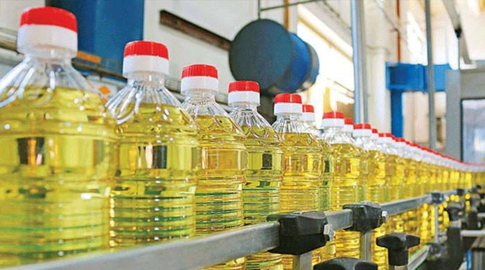 Palm oil vital for Pakistan’s food, economic security, say experts 1 Palm oil vital for Pakistan’s food, economic security, say experts