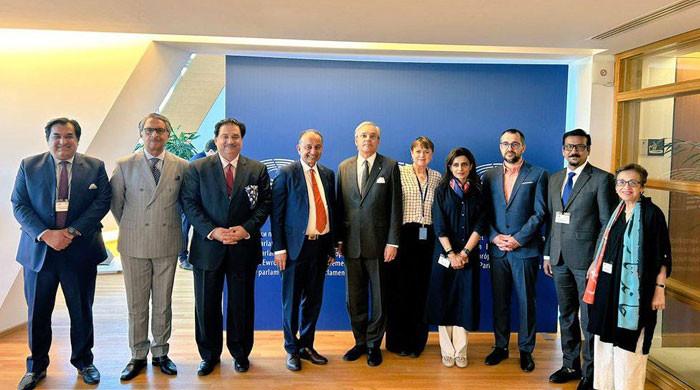 Parliamentary delegation engages European Parliament on regional peace