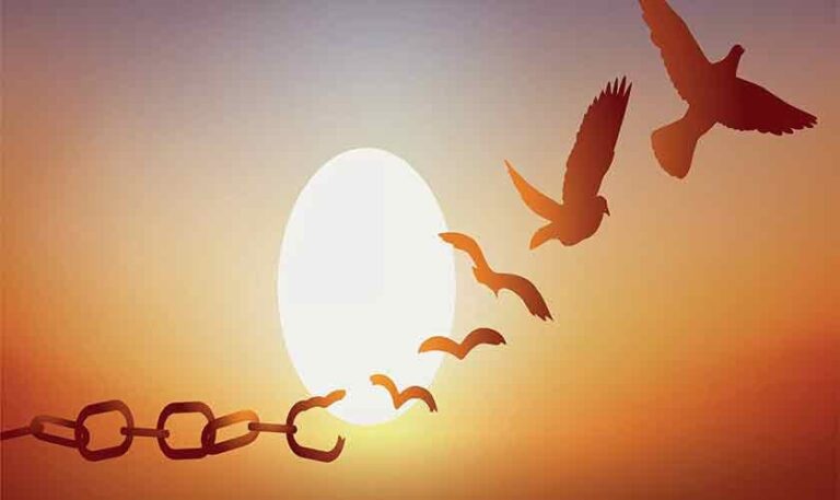 Peace, progress and sustainability | Political Economy